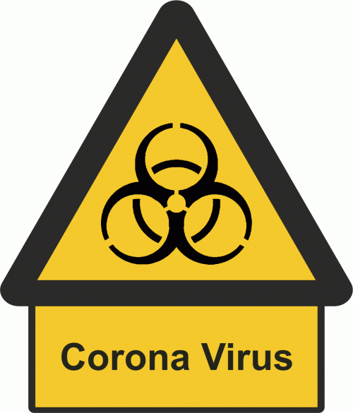 Corona Virus